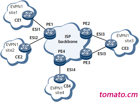 EVPN组网示意图